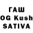 Галлюциногенные грибы GOLDEN TEACHER TaTrA