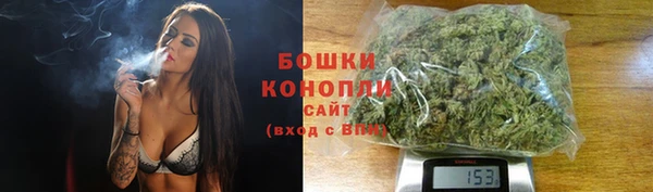 соль ск Переславль-Залесский