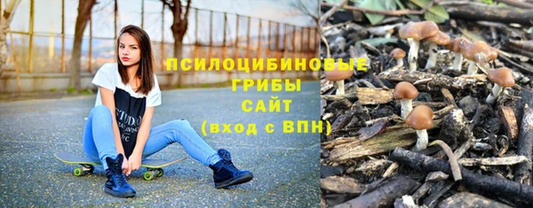 соль ск Переславль-Залесский