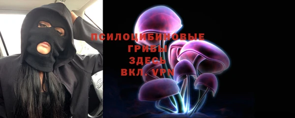 герыч Пересвет